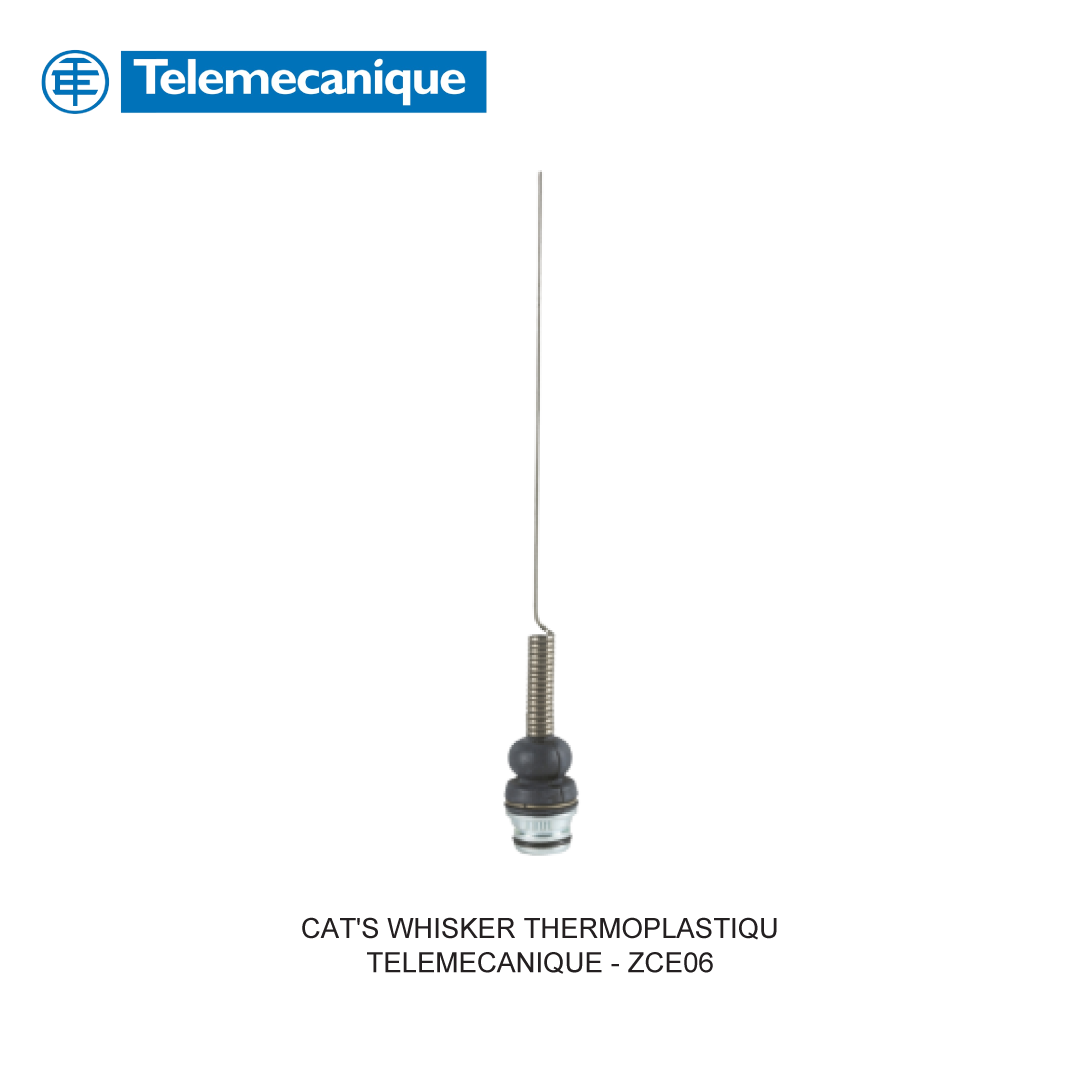 CAT'S WHISKER THERMOPLASTIQU