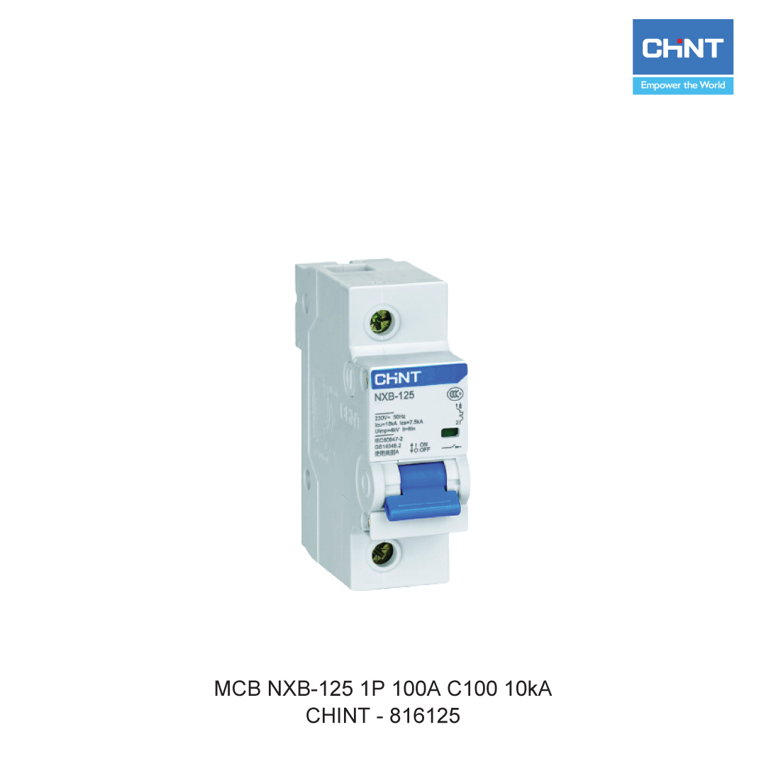 MCB NXB-125 1P 100A C100 10kA