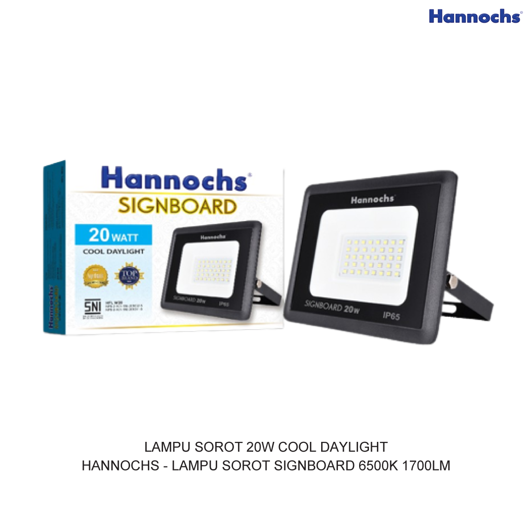 LED FLOODLIGHT 20W COOL DAYLIGHT HANNOCHS