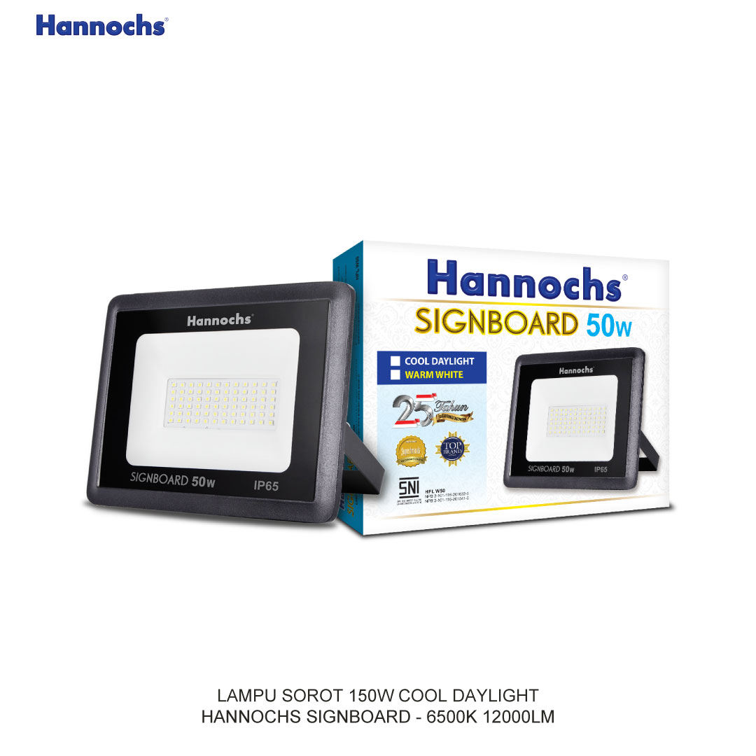LED FLOODLIGHT 150W COOL DAYLIGHT HANNOCHS